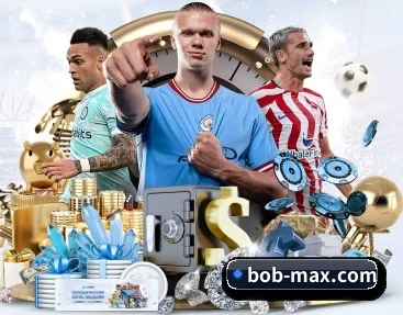 bob-max.com APP 深度功能