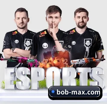 bob-max.com APP 界面